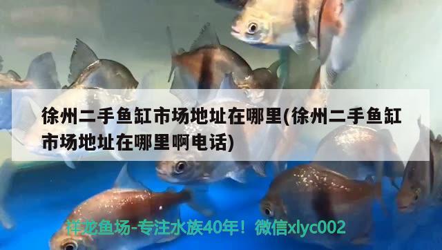 徐州二手魚缸市場地址在哪里(徐州二手魚缸市場地址在哪里啊電話)