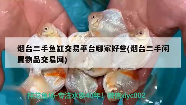 煙臺(tái)二手魚缸交易平臺(tái)哪家好些(煙臺(tái)二手閑置物品交易網(wǎng))