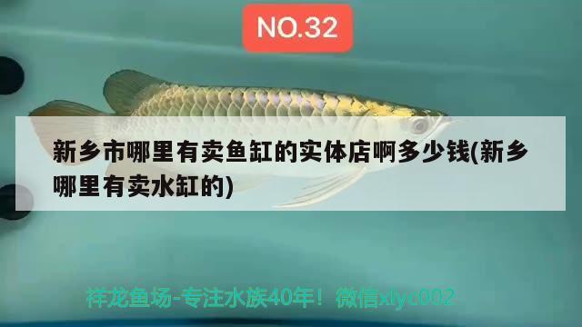 新鄉(xiāng)市哪里有賣魚缸的實(shí)體店啊多少錢(新鄉(xiāng)哪里有賣水缸的)