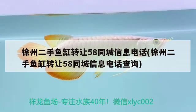 徐州二手魚缸轉(zhuǎn)讓58同城信息電話(徐州二手魚缸轉(zhuǎn)讓58同城信息電話查詢)