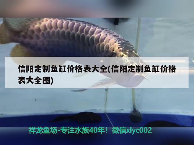 信陽(yáng)定制魚(yú)缸價(jià)格表大全(信陽(yáng)定制魚(yú)缸價(jià)格表大全圖) 觀賞魚(yú)水族批發(fā)市場(chǎng)