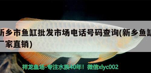 新鄉(xiāng)市魚(yú)缸批發(fā)市場(chǎng)電話號(hào)碼查詢(新鄉(xiāng)魚(yú)缸廠家直銷)