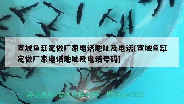 宣城魚缸定做廠家電話地址及電話(宣城魚缸定做廠家電話地址及電話號碼)