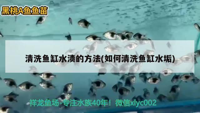 清洗魚缸水漬的方法(如何清洗魚缸水垢) 海水魚（海水魚批發(fā)）