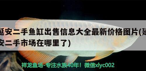 延安二手魚缸出售信息大全最新價(jià)格圖片(延安二手市場(chǎng)在哪里了)