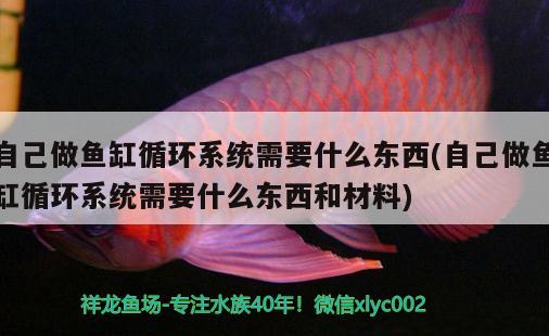 自己做魚缸循環(huán)系統(tǒng)需要什么東西(自己做魚缸循環(huán)系統(tǒng)需要什么東西和材料) 小型觀賞魚