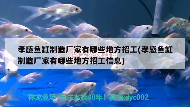 孝感魚(yú)缸制造廠家有哪些地方招工(孝感魚(yú)缸制造廠家有哪些地方招工信息)