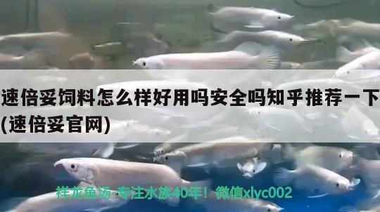 速倍妥飼料怎么樣好用嗎安全嗎知乎推薦一下(速倍妥官網(wǎng)) 速倍妥