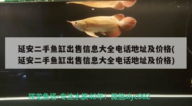 延安二手魚缸出售信息大全電話地址及價(jià)格(延安二手魚缸出售信息大全電話地址及價(jià)格) 蘇虎苗（蘇門答臘虎魚苗）