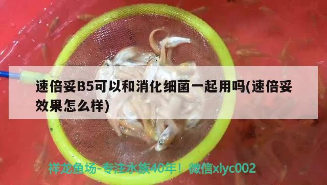 速倍妥B5可以和消化細(xì)菌一起用嗎(速倍妥效果怎么樣) 速倍妥