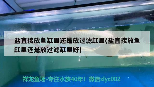 鹽直接放魚缸里還是放過濾缸里(鹽直接放魚缸里還是放過濾缸里好)