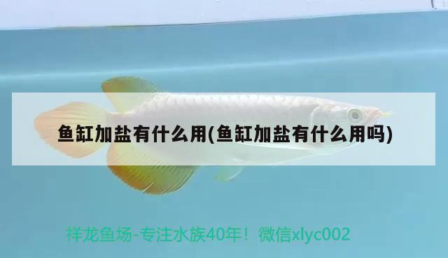 魚缸加鹽有什么用(魚缸加鹽有什么用嗎)