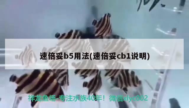 速倍妥b5用法(速倍妥cb1說明) 速倍妥