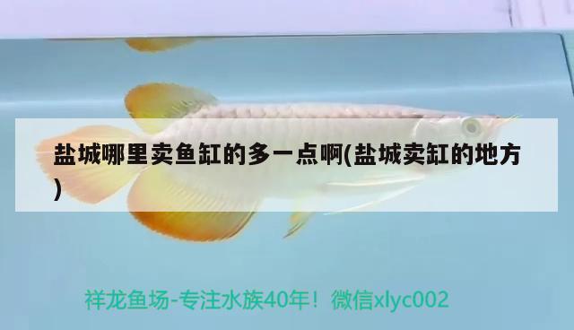 鹽城哪里賣魚缸的多一點啊(鹽城賣缸的地方)