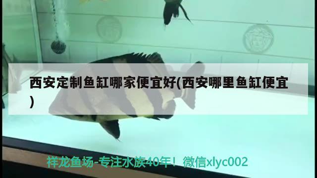 西安定制魚缸哪家便宜好(西安哪里魚缸便宜) 超血紅龍魚