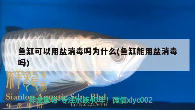 魚缸可以用鹽消毒嗎為什么(魚缸能用鹽消毒嗎) 水族燈（魚缸燈）