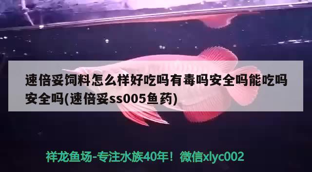 速倍妥飼料怎么樣好吃嗎有毒嗎安全嗎能吃嗎安全嗎(速倍妥ss005魚藥)