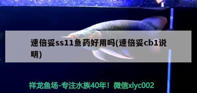 速倍妥ss11魚藥好用嗎(速倍妥cb1說明)