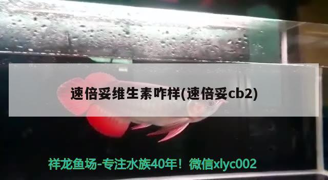 速倍妥維生素咋樣(速倍妥cb2) 速倍妥 第3張