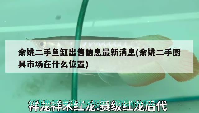 余姚二手魚缸出售信息最新消息(余姚二手廚具市場在什么位置) 過濾設備