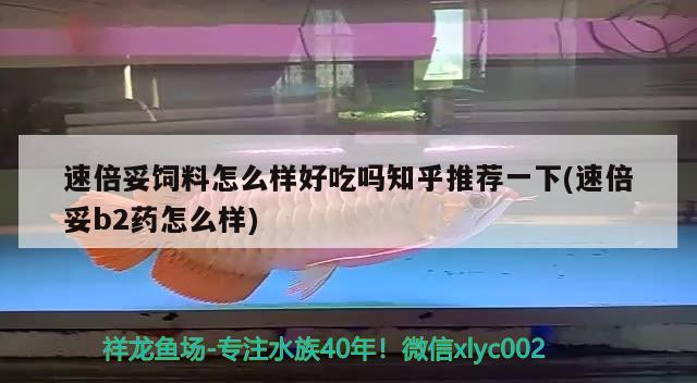 速倍妥飼料怎么樣好吃嗎知乎推薦一下(速倍妥b2藥怎么樣) 速倍妥