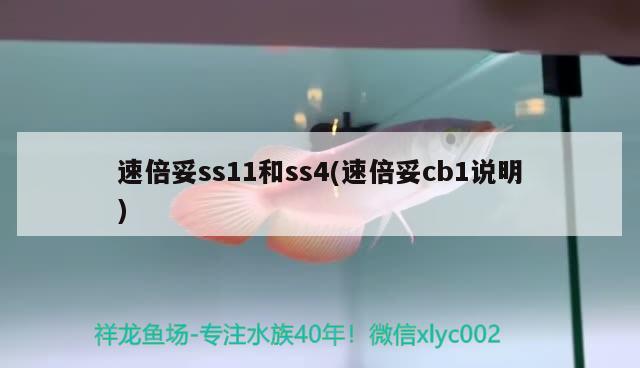 速倍妥ss11和ss4(速倍妥cb1說明) 速倍妥