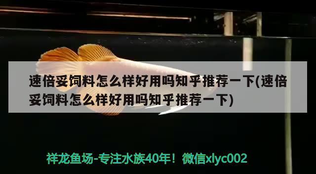 速倍妥飼料怎么樣好用嗎知乎推薦一下(速倍妥飼料怎么樣好用嗎知乎推薦一下)