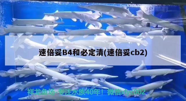 速倍妥B4和必定清(速倍妥cb2)