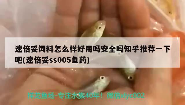 速倍妥飼料怎么樣好用嗎安全嗎知乎推薦一下吧(速倍妥ss005魚藥) 速倍妥