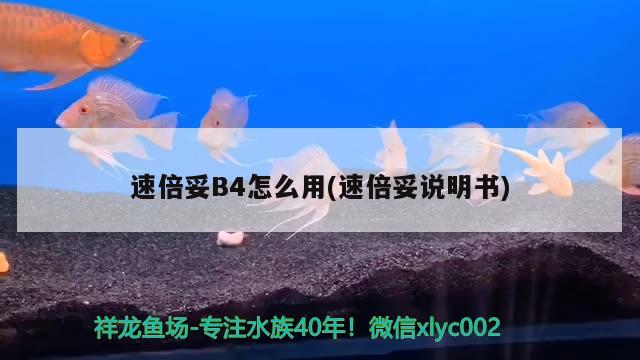 速倍妥B4怎么用(速倍妥說明書)