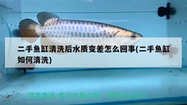 二手魚缸清洗后水質(zhì)變差怎么回事(二手魚缸如何清洗) 黑白雙星魚