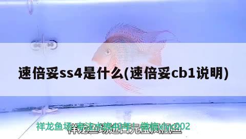 速倍妥ss4是什么(速倍妥cb1說明)