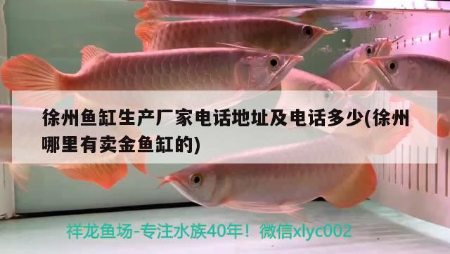 徐州魚缸生產(chǎn)廠家電話地址及電話多少(徐州哪里有賣金魚缸的)