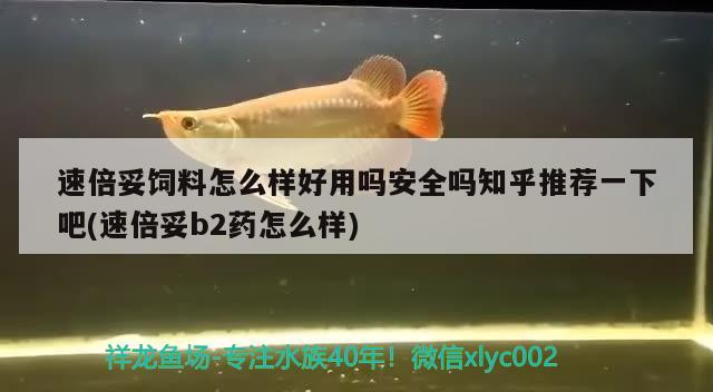 速倍妥飼料怎么樣好用嗎安全嗎知乎推薦一下吧(速倍妥b2藥怎么樣) 速倍妥