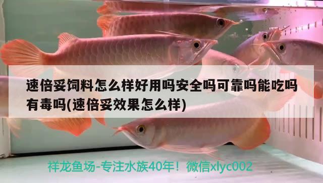 速倍妥飼料怎么樣好用嗎安全嗎可靠嗎能吃嗎有毒嗎(速倍妥效果怎么樣)