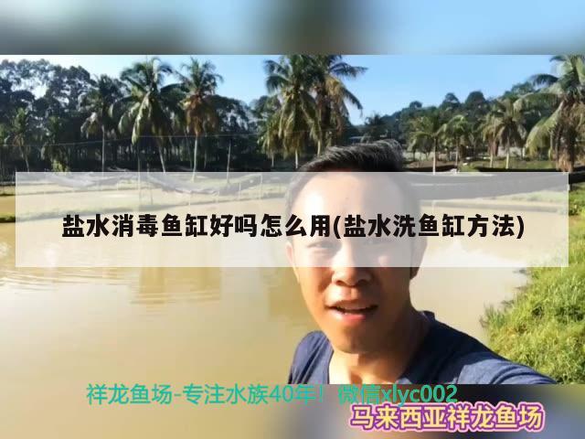 鹽水消毒魚缸好嗎怎么用(鹽水洗魚缸方法) 白子關(guān)刀魚苗