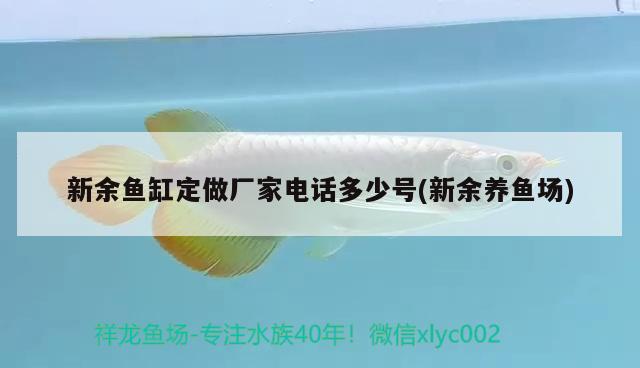 新余魚缸定做廠家電話多少號(新余養(yǎng)魚場)