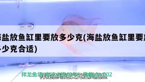 海鹽放魚缸里要放多少克(海鹽放魚缸里要放多少克合適)