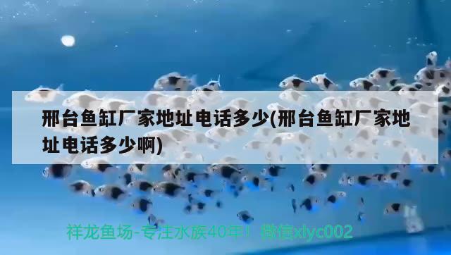 邢臺(tái)魚缸廠家地址電話多少(邢臺(tái)魚缸廠家地址電話多少啊)