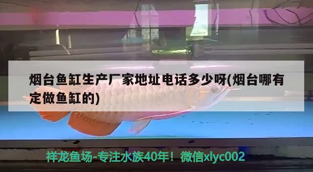 煙臺(tái)魚缸生產(chǎn)廠家地址電話多少呀(煙臺(tái)哪有定做魚缸的) 海水魚（海水魚批發(fā)）