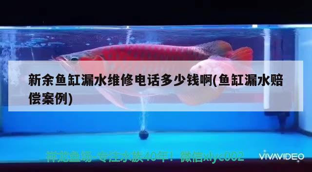 新余魚缸漏水維修電話多少錢啊(魚缸漏水賠償案例) 魚缸定做