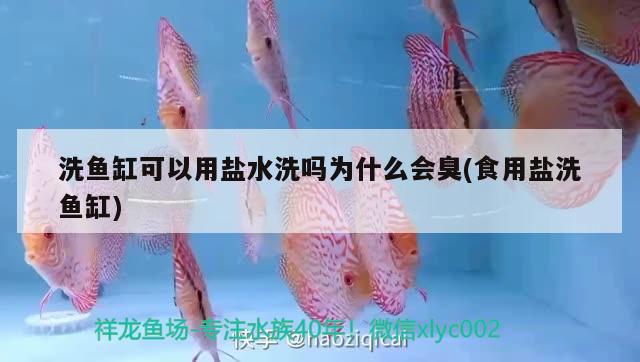 洗魚缸可以用鹽水洗嗎為什么會臭(食用鹽洗魚缸)