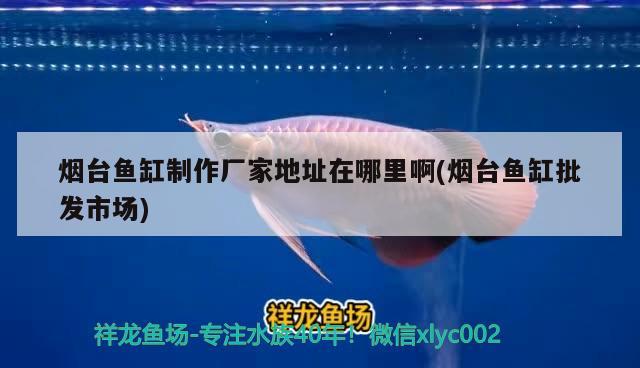 煙臺魚缸制作廠家地址在哪里啊(煙臺魚缸批發(fā)市場) 養(yǎng)魚知識 第2張