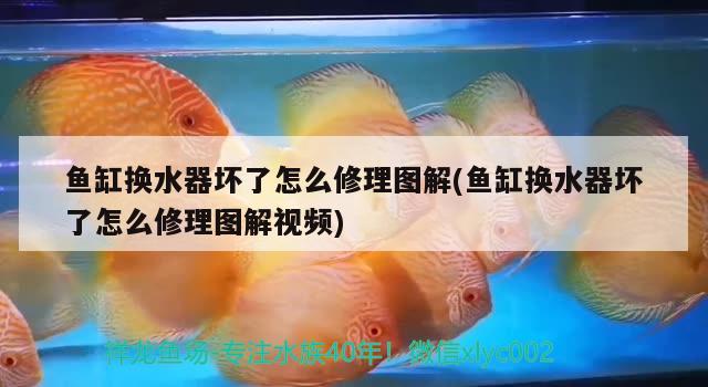 魚缸換水器壞了怎么修理圖解(魚缸換水器壞了怎么修理圖解視頻)