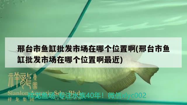 邢臺(tái)市魚缸批發(fā)市場(chǎng)在哪個(gè)位置啊(邢臺(tái)市魚缸批發(fā)市場(chǎng)在哪個(gè)位置啊最近) 虎魚百科