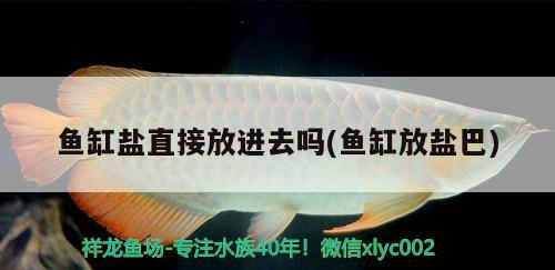 魚缸鹽直接放進去嗎(魚缸放鹽巴) 魟魚百科