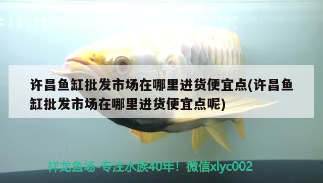 許昌魚缸批發(fā)市場在哪里進貨便宜點(許昌魚缸批發(fā)市場在哪里進貨便宜點呢) 造景/裝飾