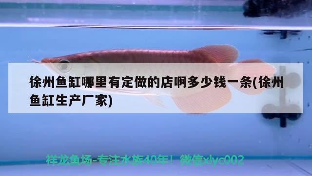 徐州魚(yú)缸哪里有定做的店啊多少錢(qián)一條(徐州魚(yú)缸生產(chǎn)廠家)