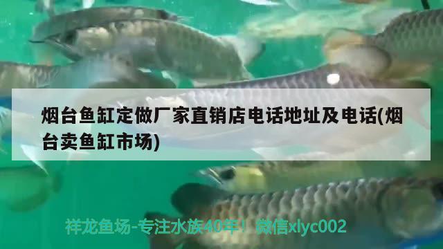 煙臺(tái)魚(yú)缸定做廠家直銷店電話地址及電話(煙臺(tái)賣(mài)魚(yú)缸市場(chǎng))