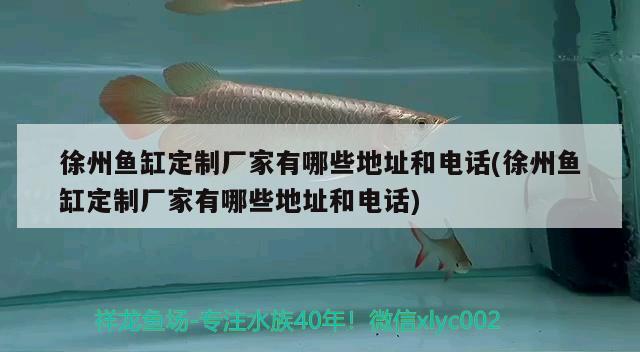 徐州魚缸定制廠家有哪些地址和電話(徐州魚缸定制廠家有哪些地址和電話) 硝化細菌